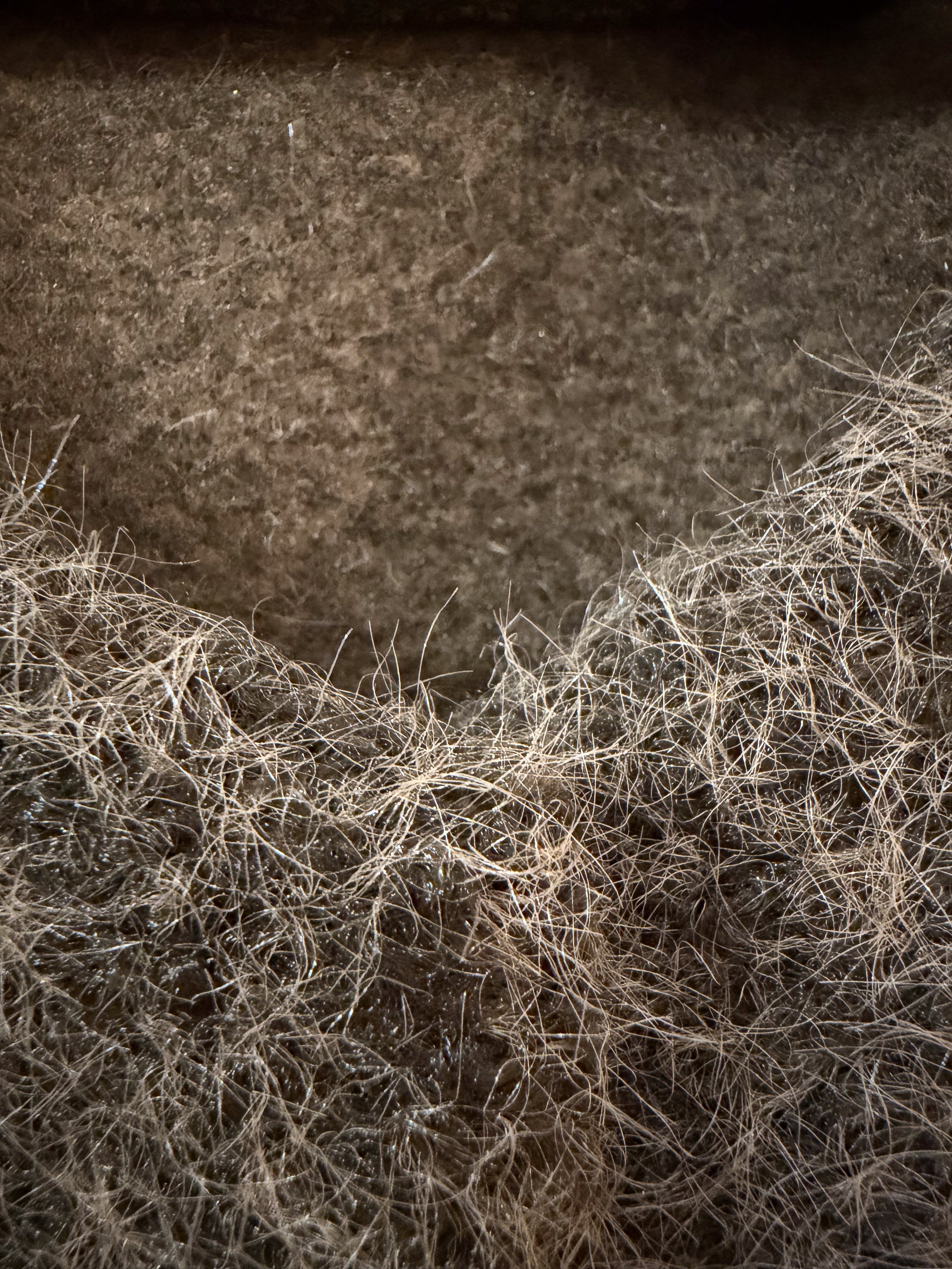 Chaleco suave de borrego marrón