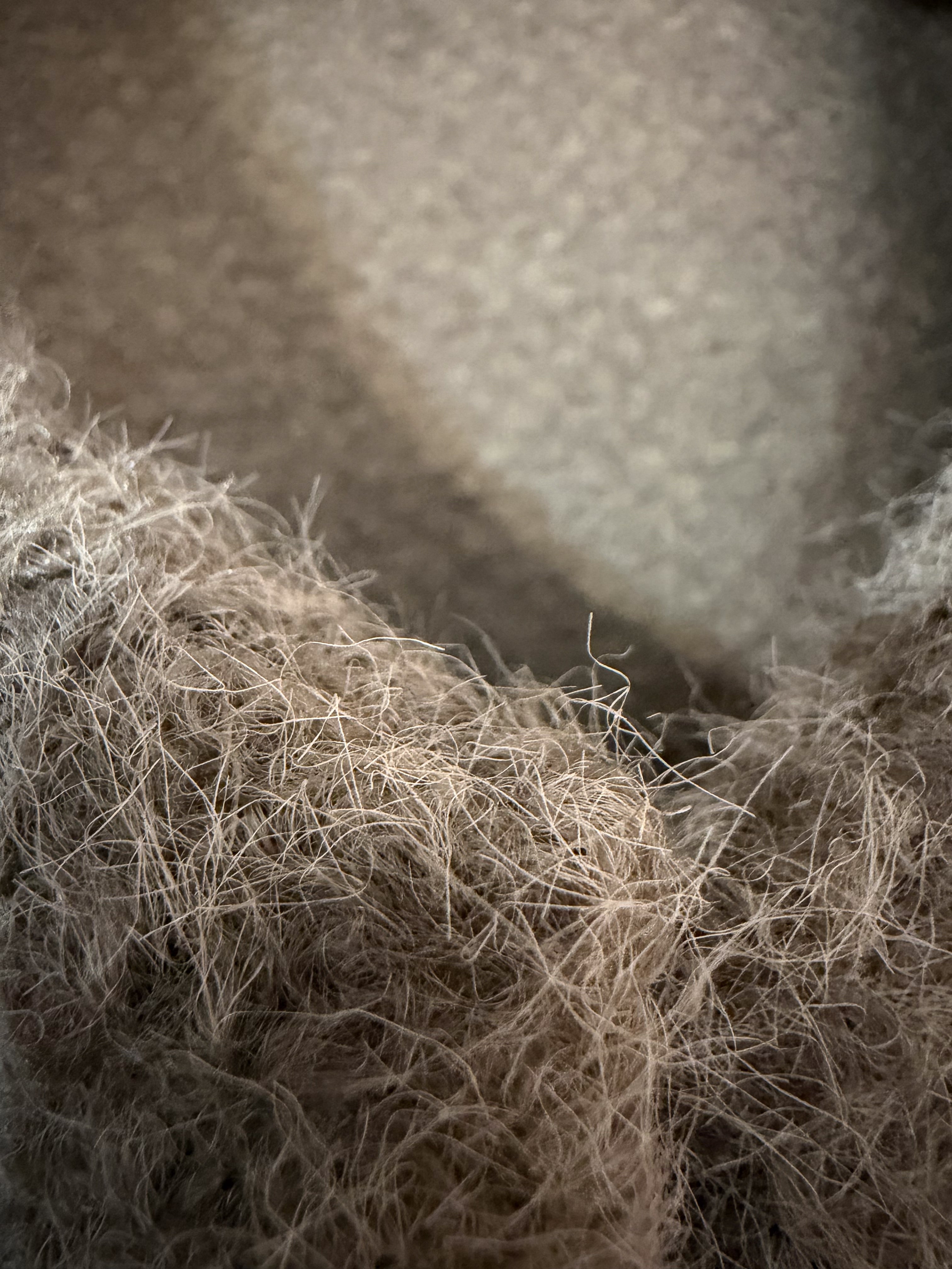 Chaleco suave de borrego canela